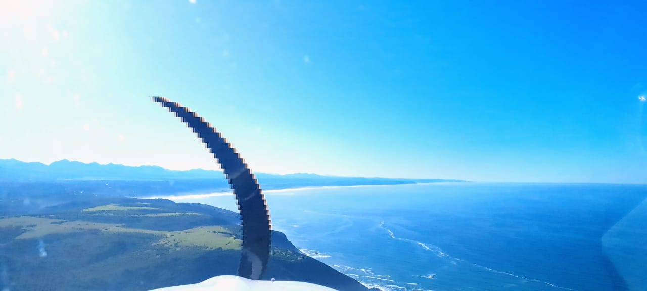 449dcf8c-0b56-4358-a092-17522630b4bf